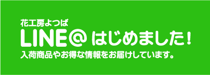 花工房よつばLINE＠はじめました！入荷商品やお得な情報をお届けしています。